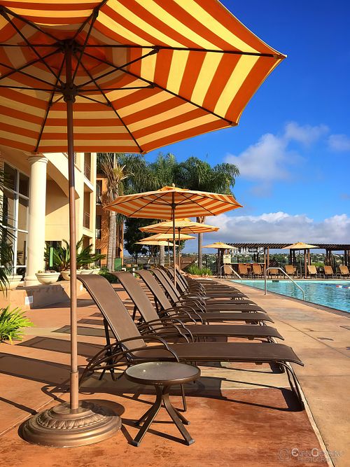 HIlton Grand Vacation Pool
