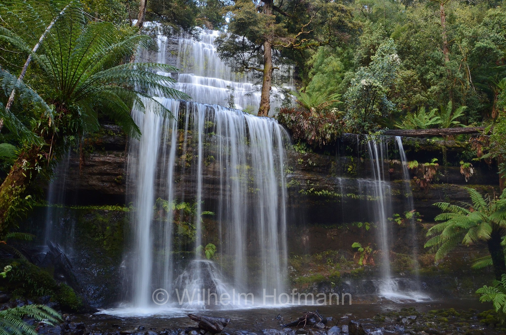 Russell Falls, Mount Field National Park, Mount-Field-Nationalpark, parco nazionale Mount Field, Tasmania, Tasmanien, Australia, Australien