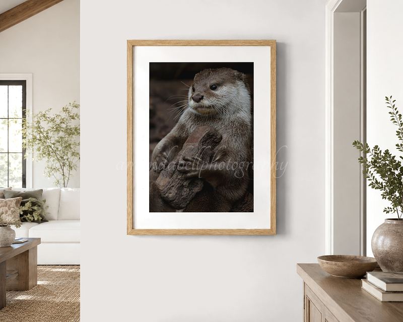 Otter with Rock Print