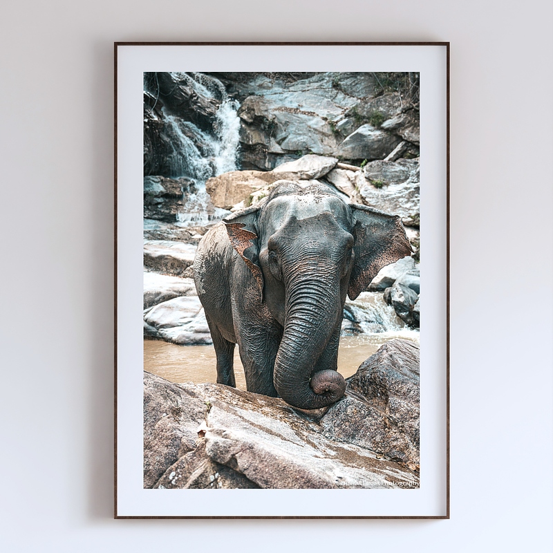 COLLECTION - GIANTS OF THE LAND VERTICAL - "The Coil" - LIMITED EDITION 9 of 10