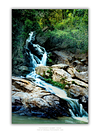 THE ONE - WILDLIFE & NATURE - "Over the Rocks" - LIMITED EDITION 5 of 5