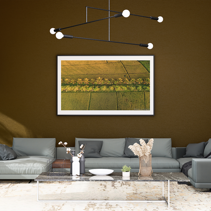 COLLECTION - FROM ABOVE HORIZONTAL - "Fields and Palms" - LIMITED EDITION 10 of 10