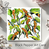 Black Pepper | Botanical Art Card | Watercolour Original Illustration | with Envelope