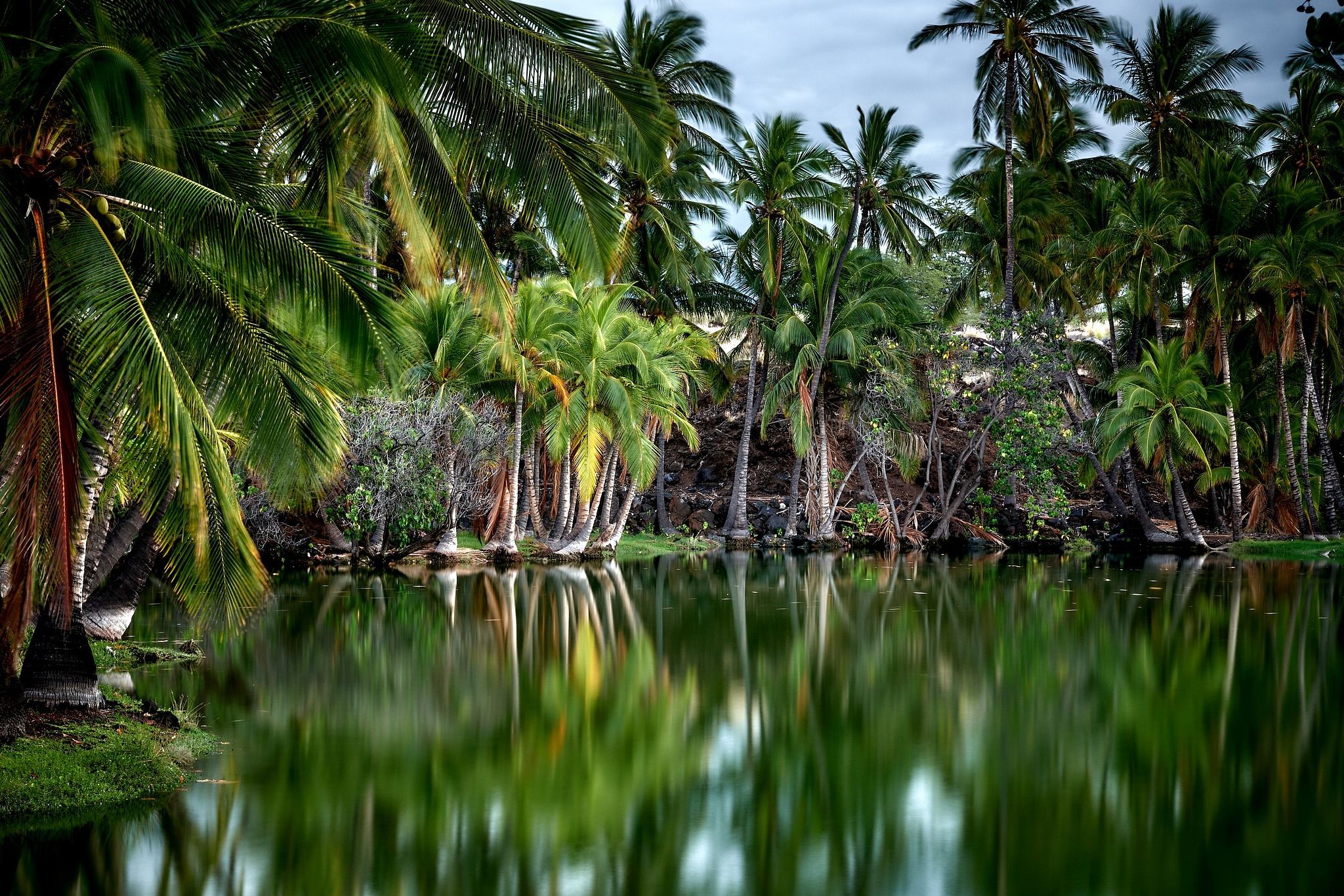 Reflections in Ancient Fishpond - Mauna Lani, Hawaii