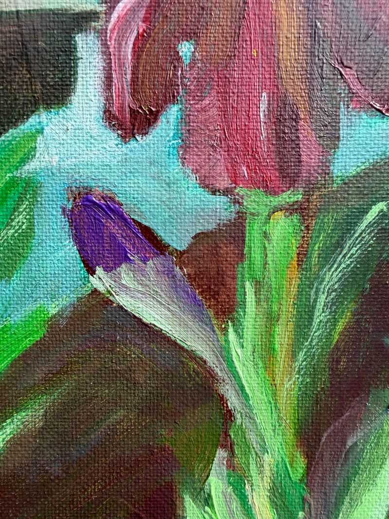 Iris