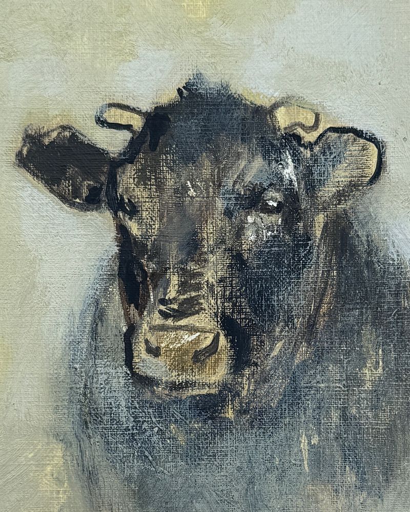 Beef Shortage