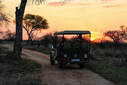 Sunset Safari