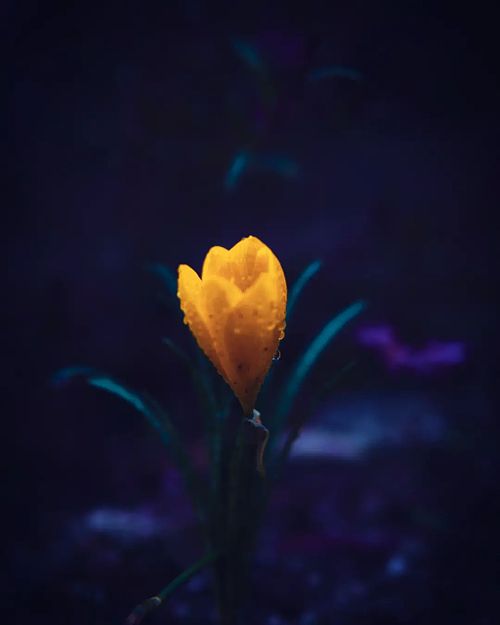 Previous Photography Work