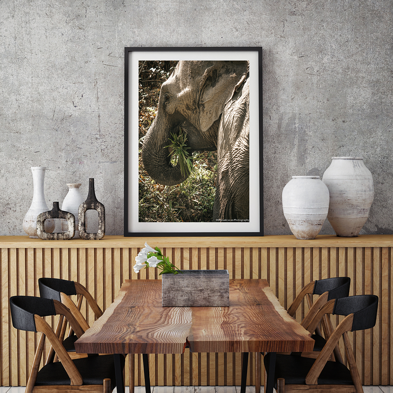 COLLECTION - GIANTS OF THE LAND VERTICAL - "Fresh Pick" - LIMITED EDITION 10 of 10