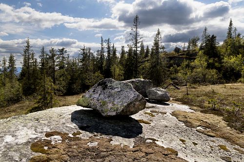 Naturwaldreservat Trillemarka