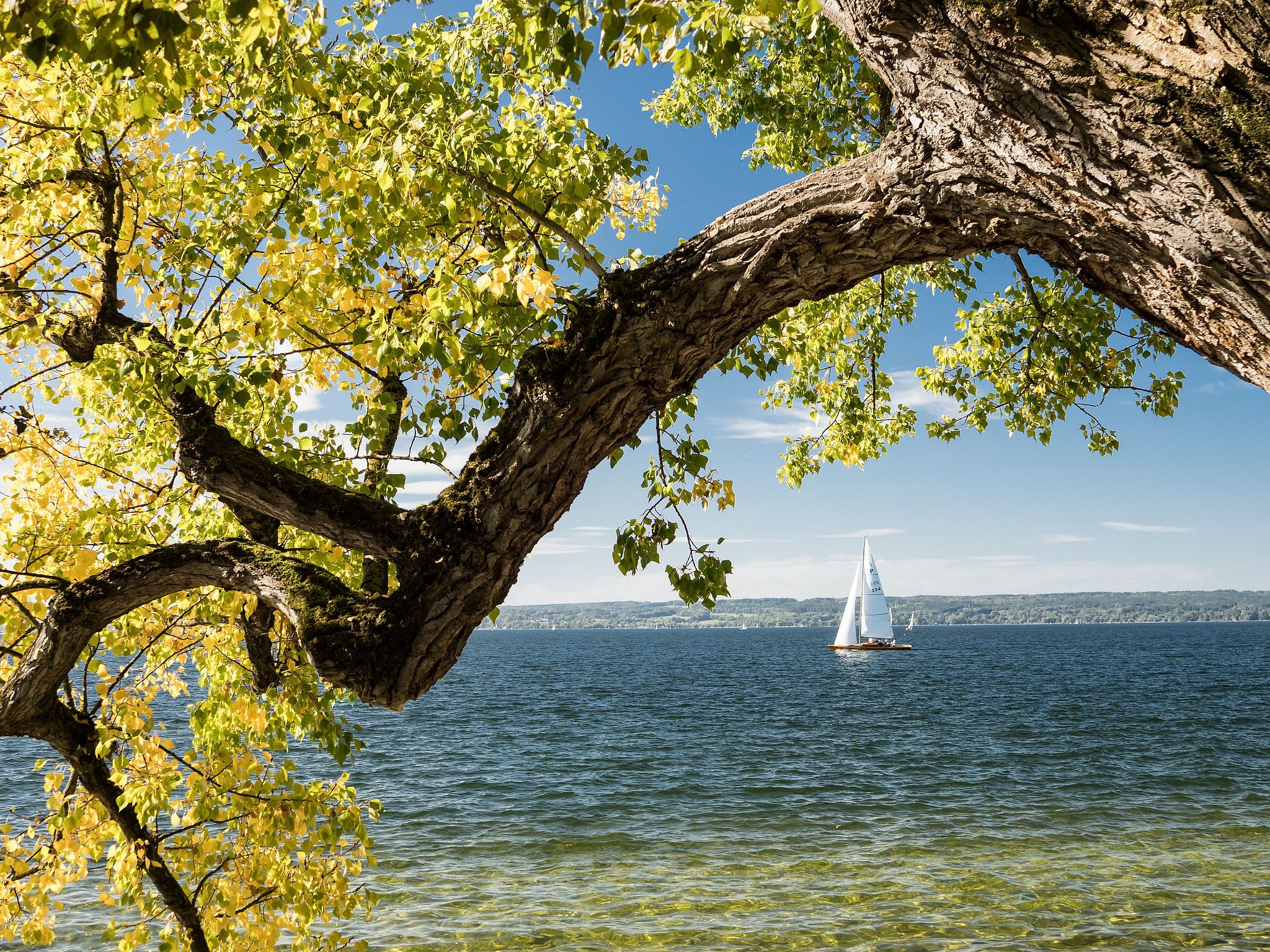 Am Ammersee