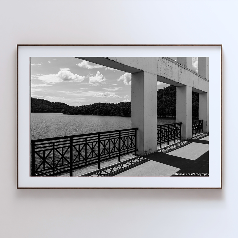 THE ONE - WILDLIFE & NATURE - "The Water Beyond" - LIMITED EDITION 5 of 5