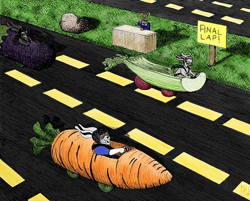 Rabbit Racers