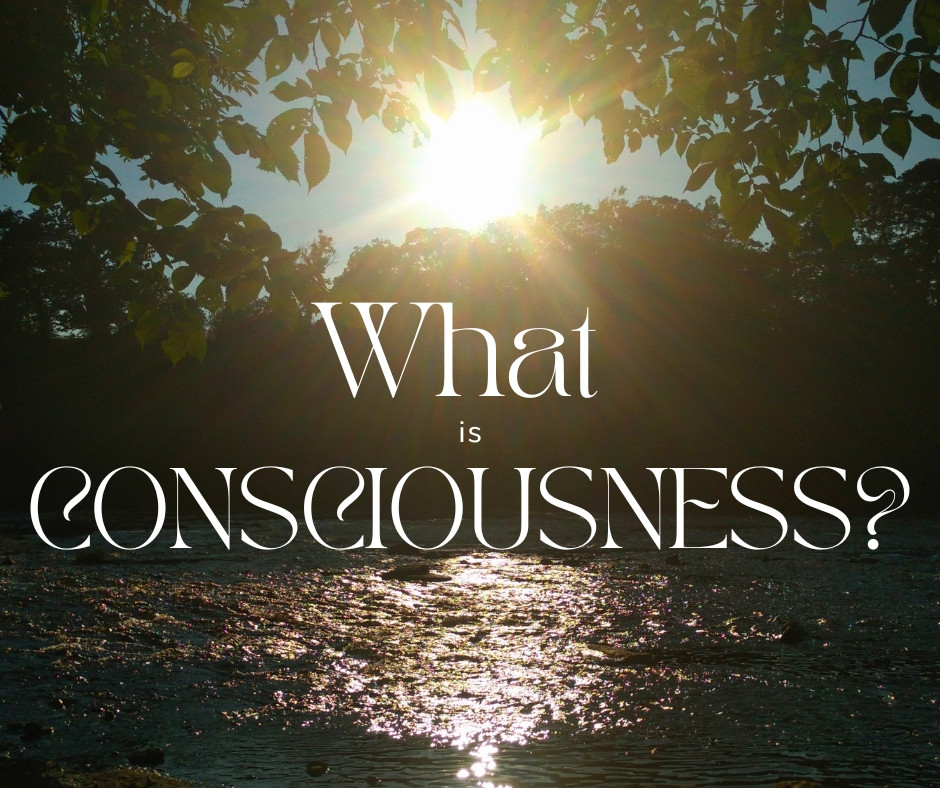 What is consciousness?