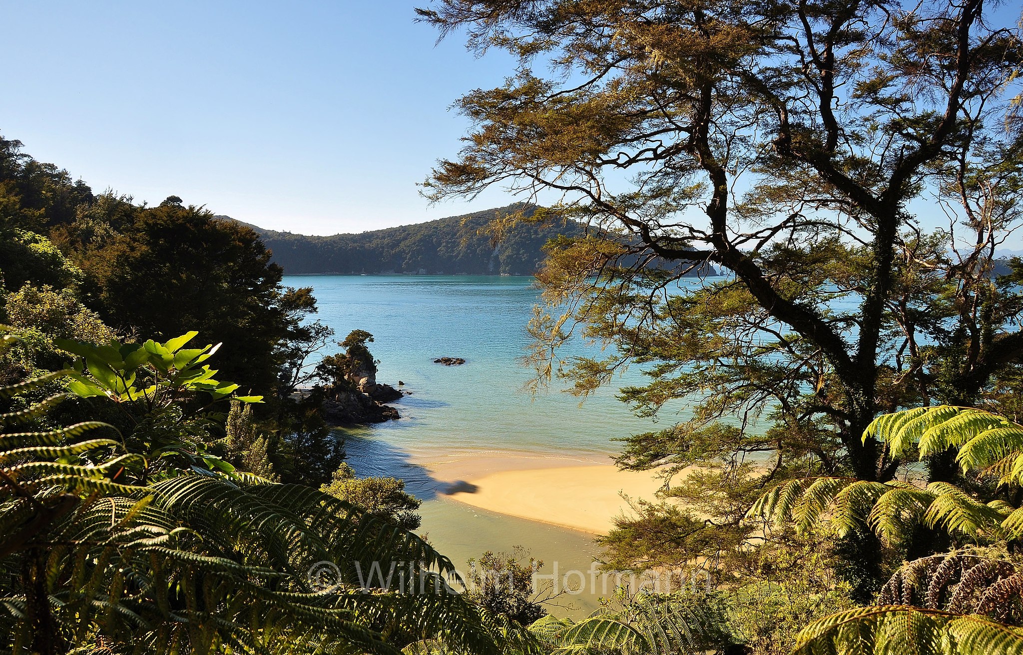 Abel Tasman National Park, Abel-Tasman-Nationalpark, Parco nazionale Abel Tasman, South Island, Südinsel, Isola del Sud, New Zealand, Neuseeland, Nuova Zelanda