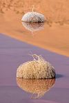Spiegelwerelden in Badain Jaran