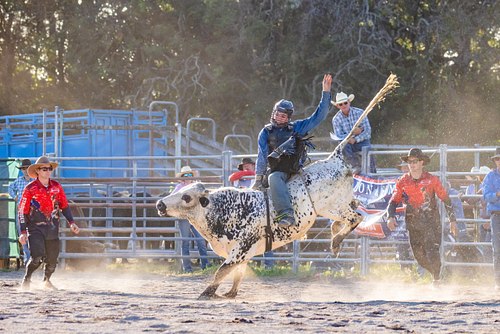 Rodeos