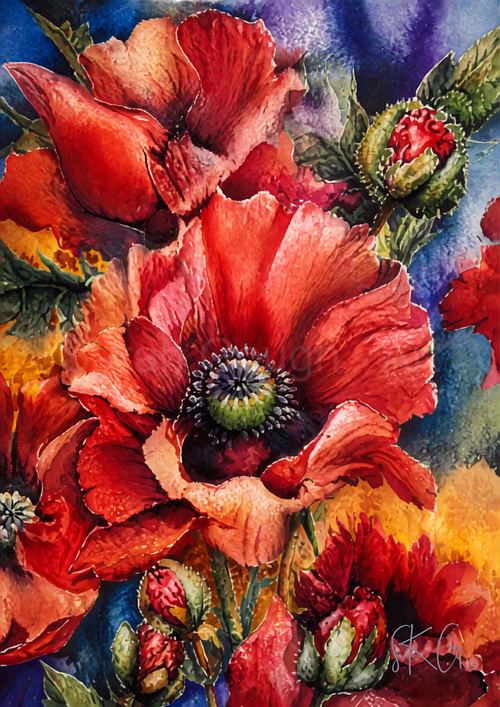 Vibrant watercolour poster print featuring striking red oriental poppy blooms with rich contrasting tones and detailed floral elements.