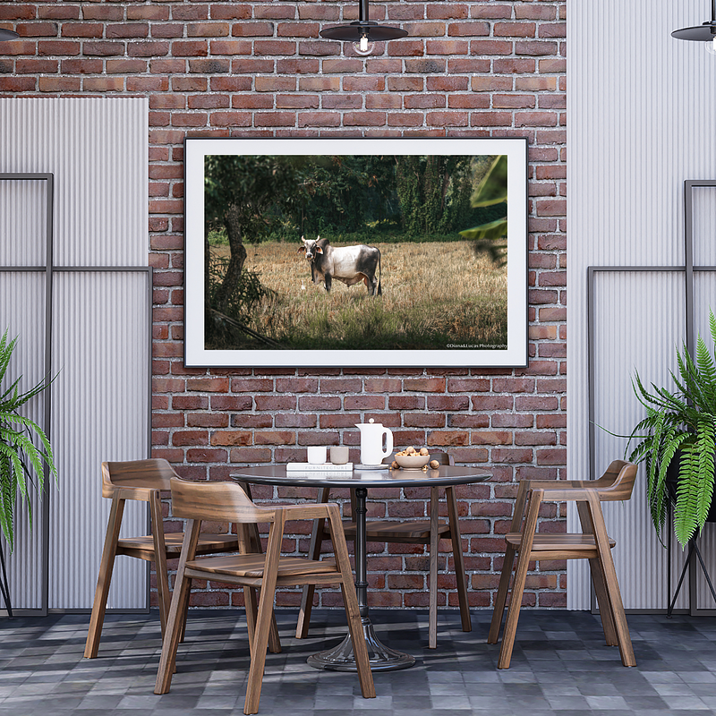 COLLECTION - GIANTS OF THE LAND HORIZONTAL - "Field Neighbours" - LIMITED EDITION 10 of 10