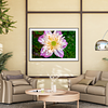 THE ONE - WILDLIFE & NATURE - "Water Lilly" - LIMITED EDITION 3 of 5