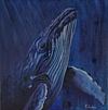 Whale at Night / Ballena en la noche