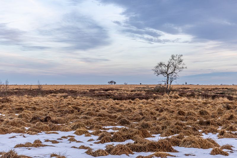 Landschappen