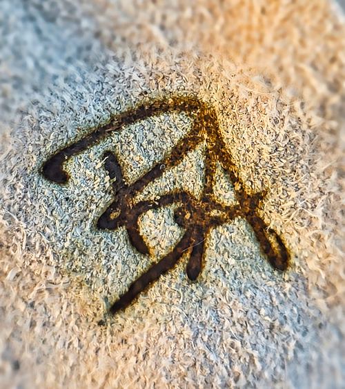 Leather Branding