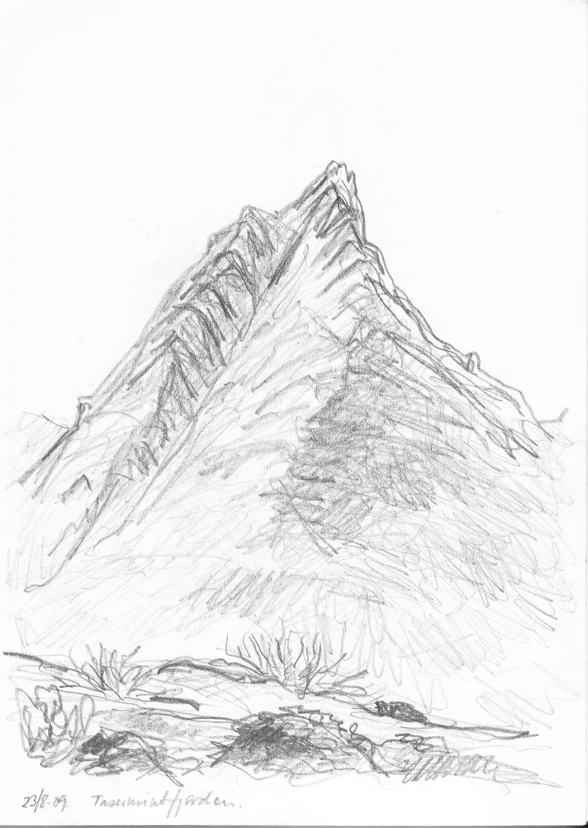 Fjeld