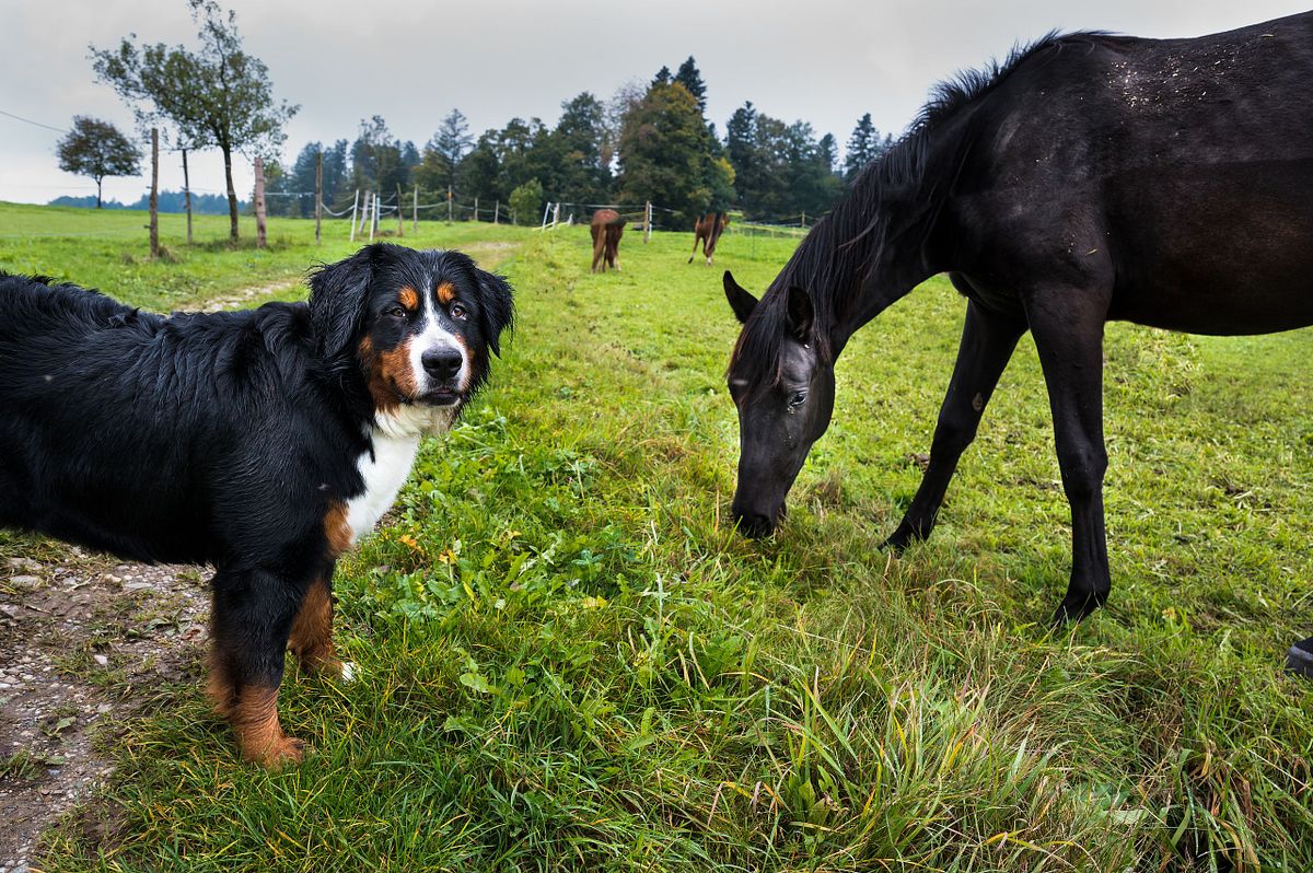 Tobias und Aimy