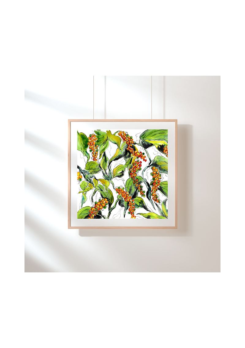 Black Pepper Plant | Botanical Art Print