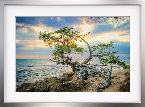 Explore my work