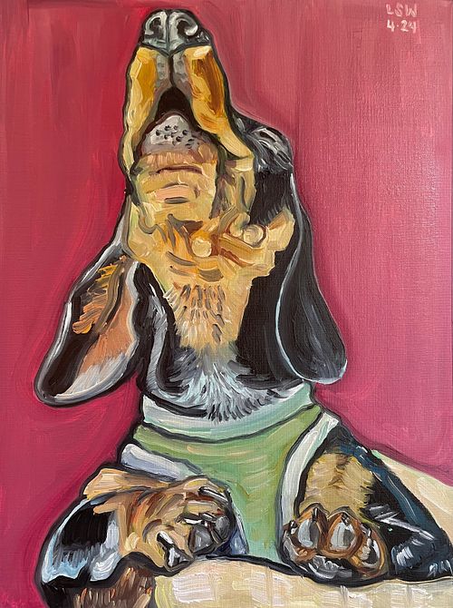 Dogs & creatures