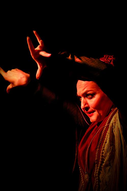 Danseuse de flamenco sous une lumière chaude