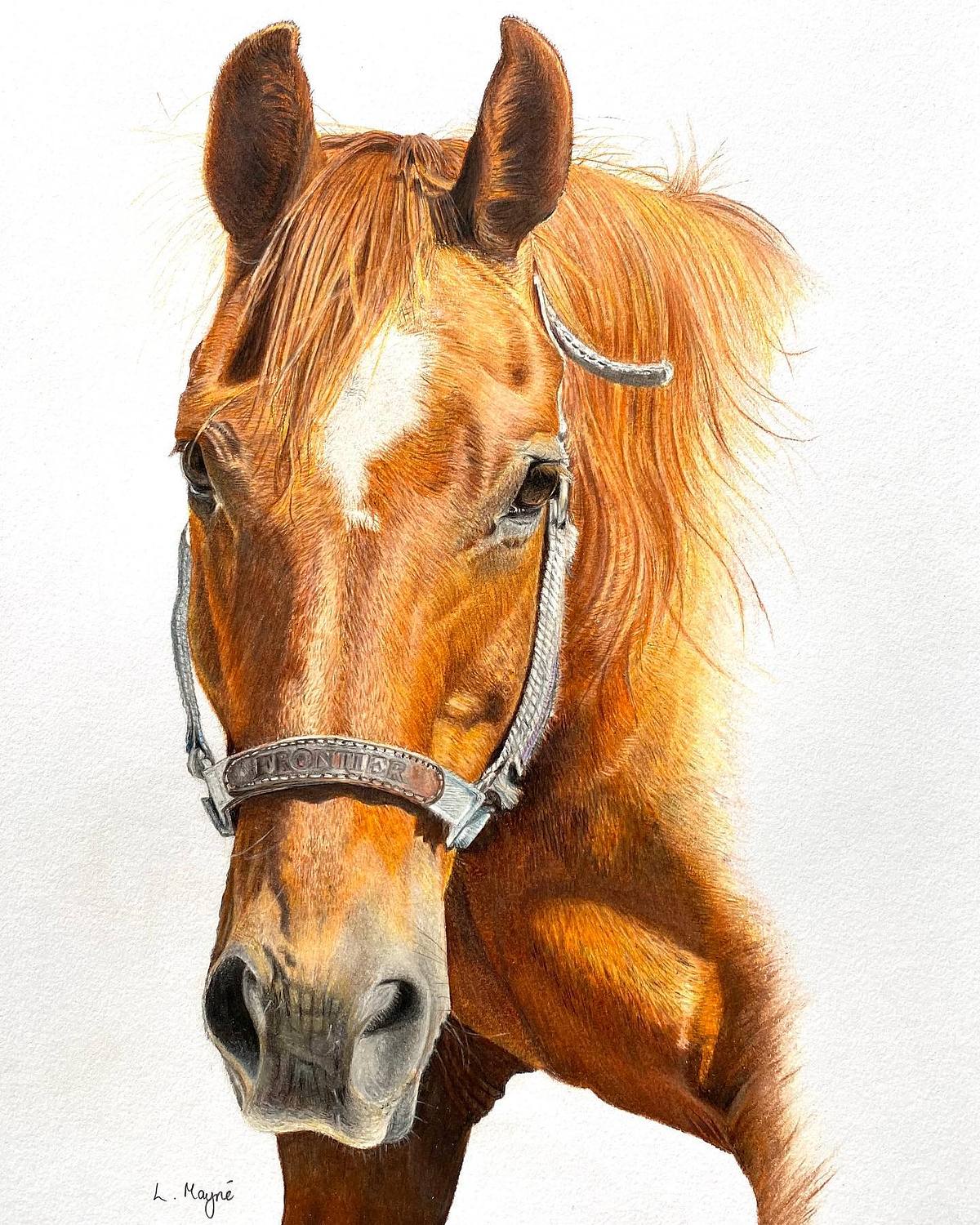 horse portrait, horse pet portrait, chestnut horse portrait