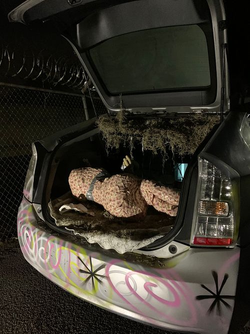 Vehicular Manslaughter