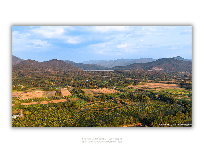 COLLECTION - GIANTS OF THE LAND HORIZONTAL - "Fields and Mountains" - LIMITED EDITION 10 of 10