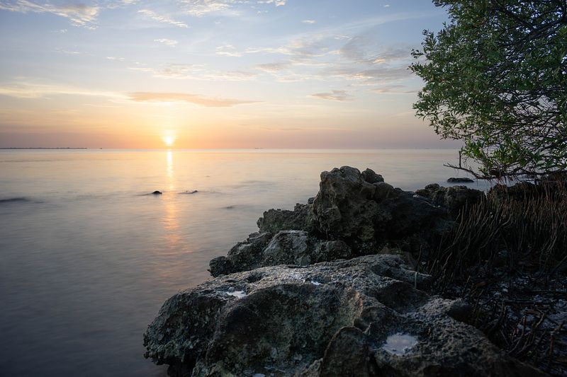 Sunsets In My Backyard-Emerson Point Preserve