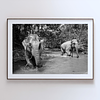 COLLECTION - GIANTS OF THE LAND HORIZONTAL - "River Play" - LIMITED EDITION 10 of 10