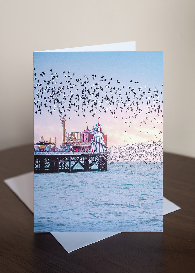 Brighton Starling Murmuration Greeting Cards (6 pack)