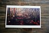 within: Artist Prints