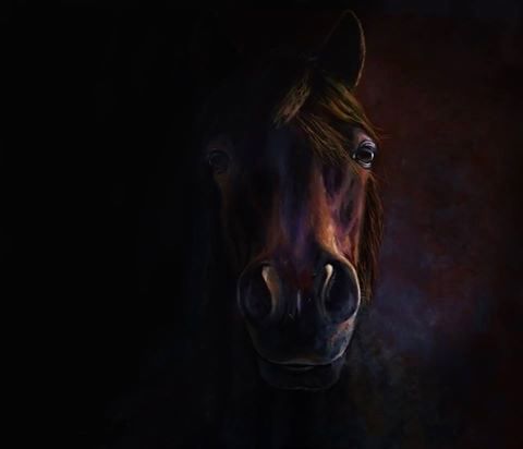 Colorful horse portrait painting capturing strength and expression