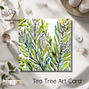 Tea Tree | Botanical Illustration | Art Card | with Envelope