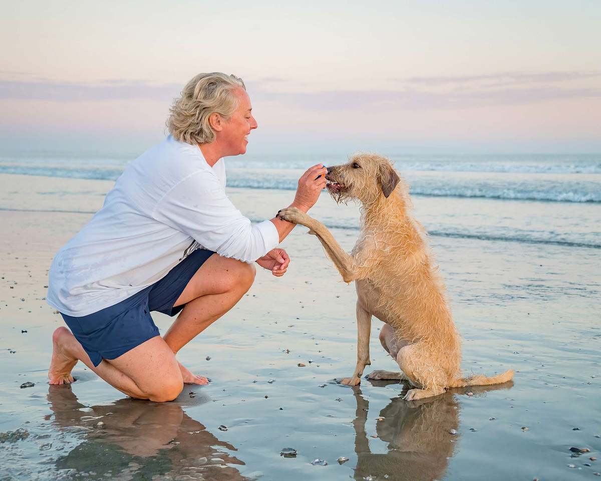san diego dog beach photography