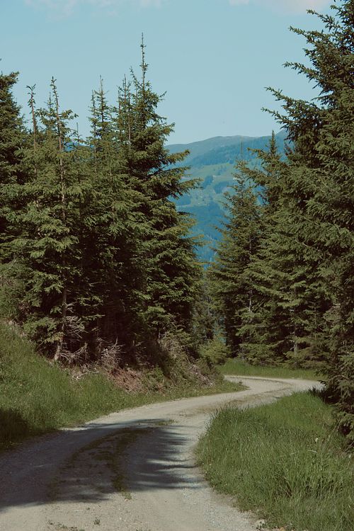 PLACES
