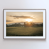 THE ONE - WILDLIFE & NATURE - "The Last Rays" - LIMITED EDITION 5 of 5
