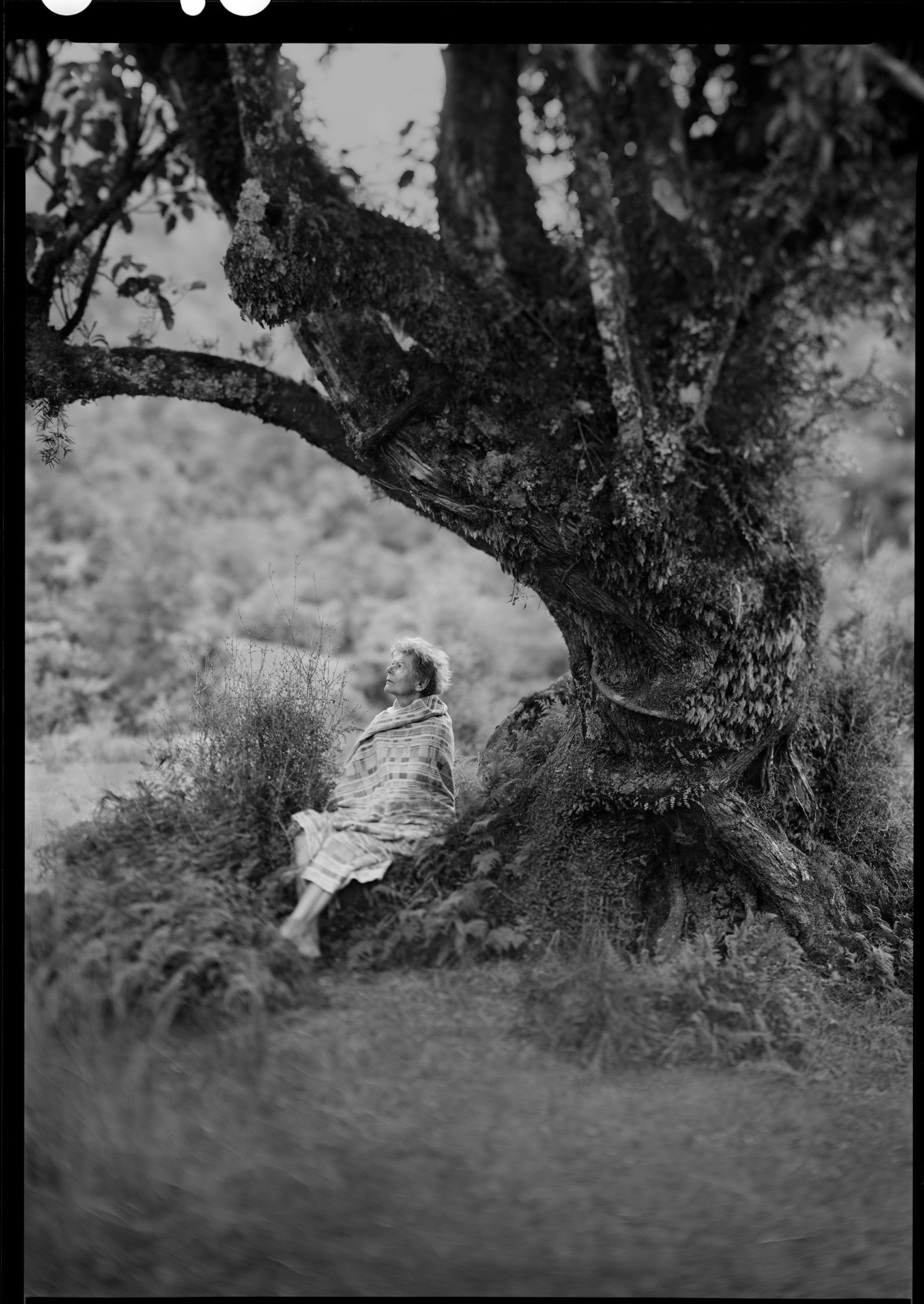 Andreas John