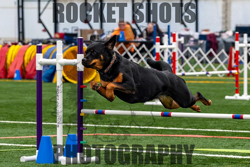 Rocket Shots Photography