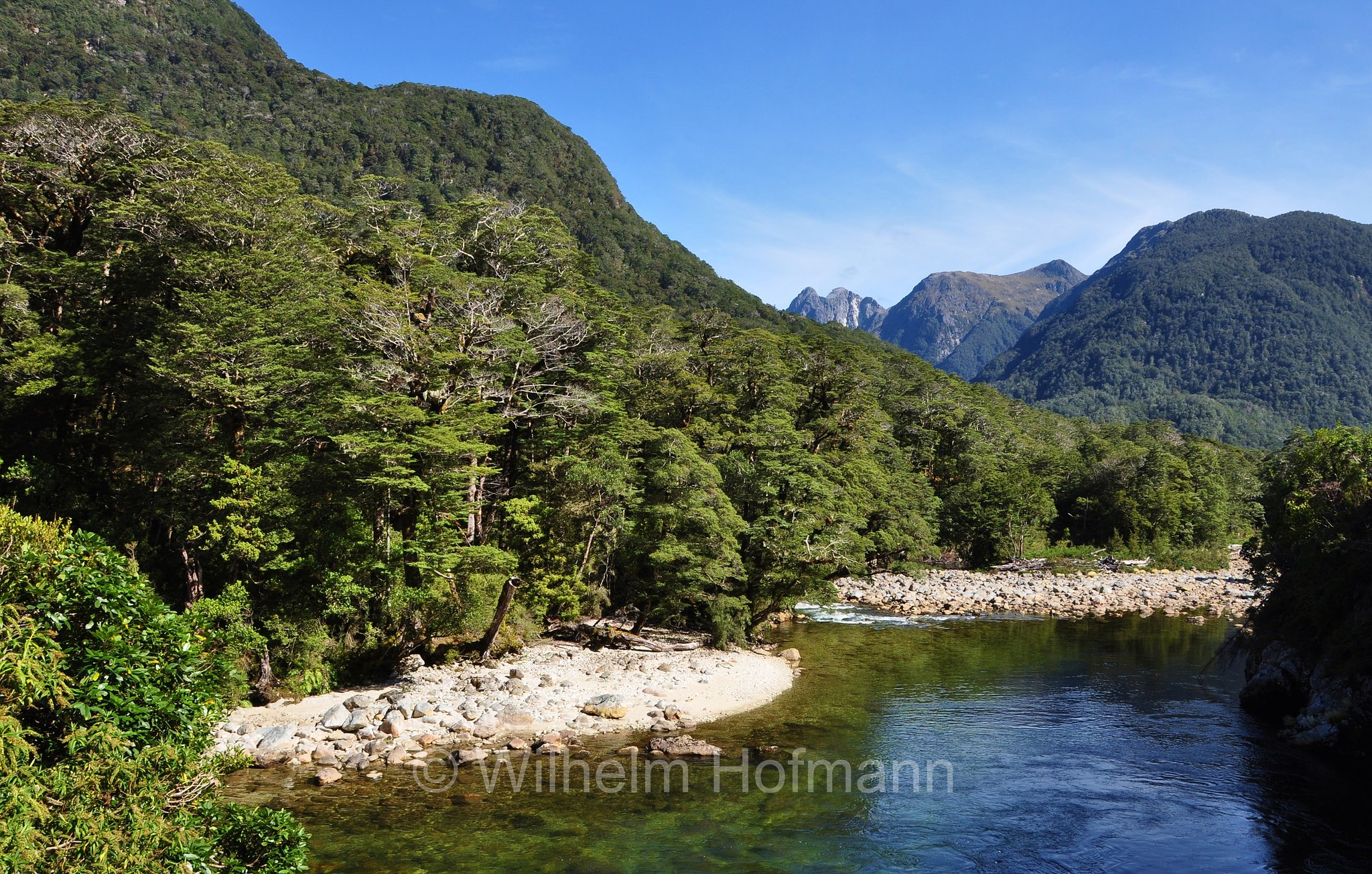 Grebe River, Fiordland National Park, Fiordland-Nationalpark, Parco nazionale del Fiordland, South Island, Südinsel, Isola del Sud, New Zealand, Neuseeland, Nuova Zelanda