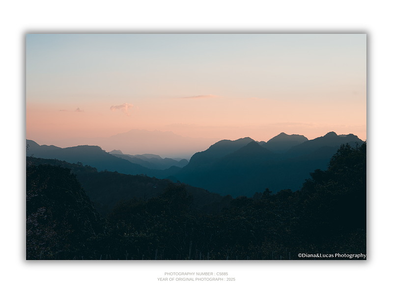 COLLECTION - GIANTS OF THE LAND HORIZONTAL - "Peach Light" - LIMITED EDITION 10 of 10