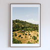 COLLECTION - FROM ABOVE VERTICAL - "The Only House" - LIMITED EDITION 10 of 10